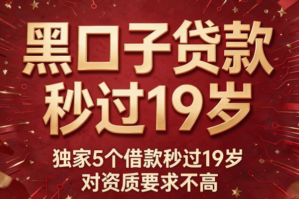 黑口子贷款秒过19岁,独家5个借款秒过19岁 对资质要求不高 的平台