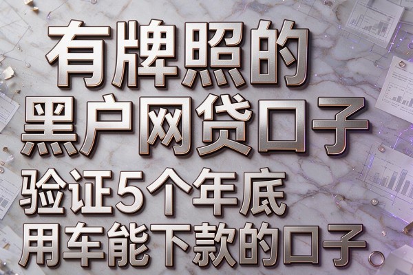 有牌照的黑户网贷口子,验证5个年底用车能下款的口子