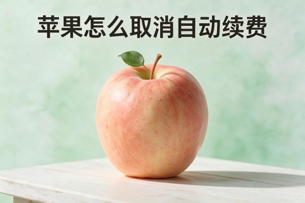 苹果怎么取消自动续费