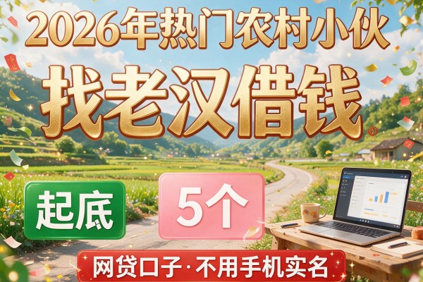 2026年热门农村小伙找老汉借钱,起底5个网贷口子不用手机实名