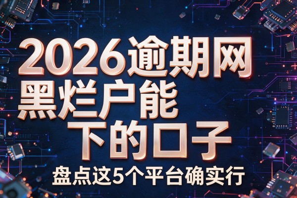 2026逾期网黑烂户能下的口子,盘点这5个平台确实行