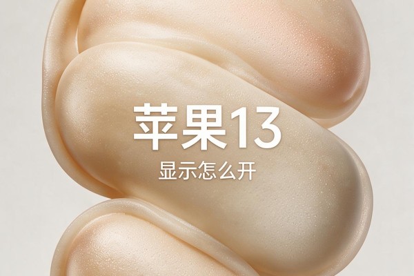 苹果13电量百分比显示怎么开