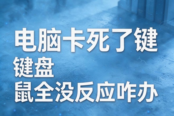 电脑卡死了键盘鼠标全没反应咋办