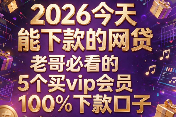 2026今天能下款的网贷，老哥必看的5个买vip会员100%下款口子