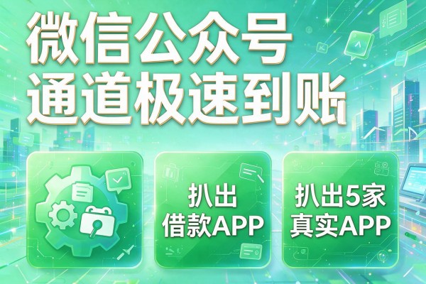 微信公众号通道极速到账,扒出5家借款APP真实在