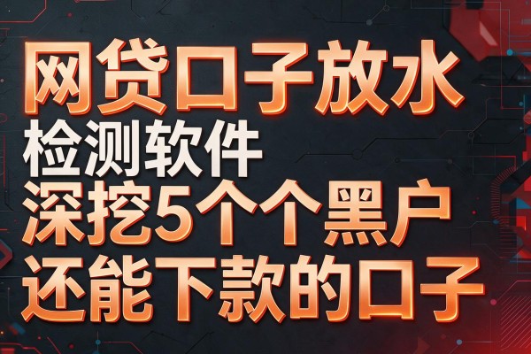 网贷口子放水检测软件,深挖5个黑户还能下款的口子