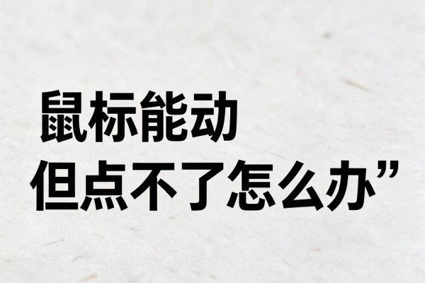 鼠标能动但点不了怎么办