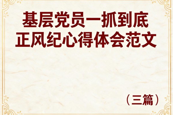 基层党员一抓到底正风纪心得体会范文(三篇)