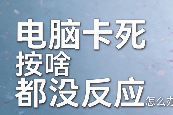 电脑卡死按啥都没反应怎么办