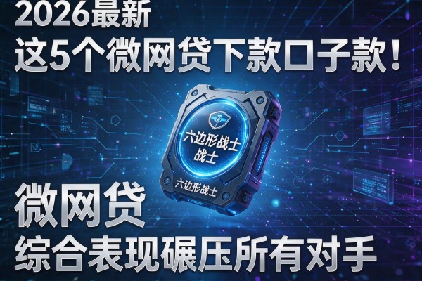 2026最新六边形战士：这5个"微网贷下款口子"综合表现碾压所有对手，零差评