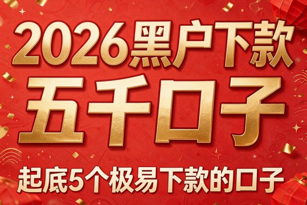 2026黑户下款五千口子,起底5个极易下款的口子