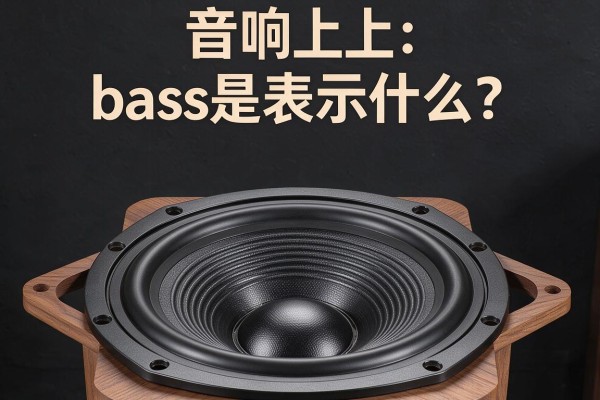 音响上bass是表示什么