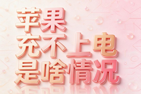 苹果充不上电是啥情况
