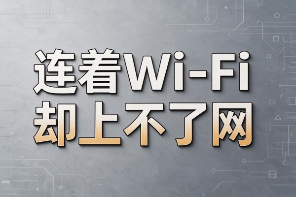 连着Wi-Fi却上不了网什么原因