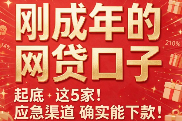 刚成年的网贷口子,起底这5家应急渠道确实能下款