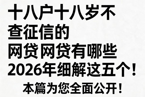 黑白户十八岁不查征信的网贷有哪些2026年细解这五个!本篇为您全面公开!