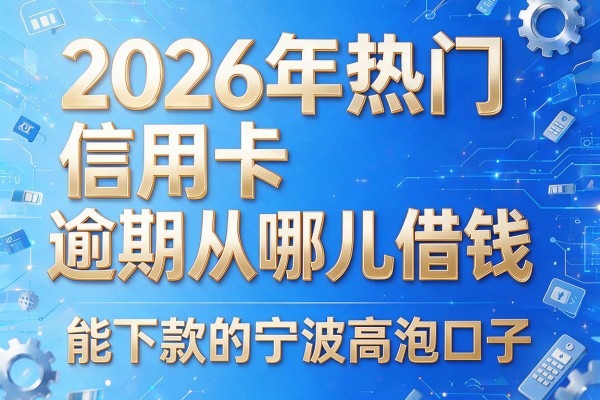 2026年热门信用卡逾期从哪儿借钱,能下款的宁波高泡口子