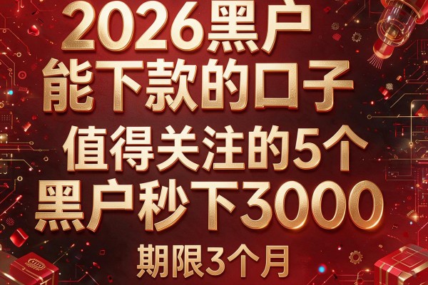 2026黑户能下款的口子，值得关注的5个黑户秒下3000,期限3个月