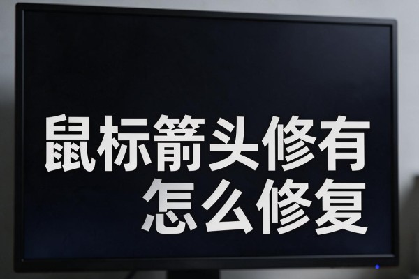 黑屏只有鼠标箭头怎么修复