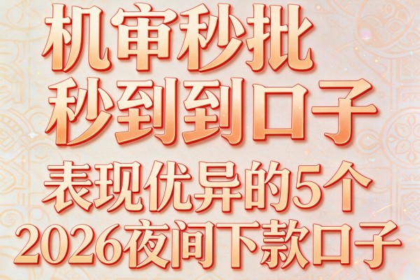机审秒批秒到口子,表现优异的5个2026夜间下款口子