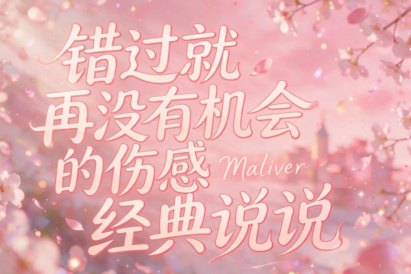 错过就再没有机会的伤感经典说说