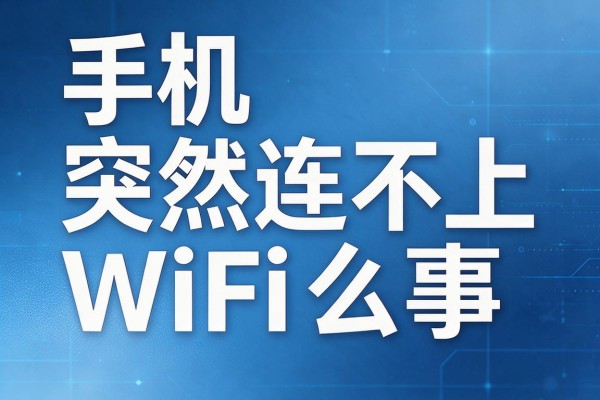 手机突然连不上WiFi怎么回事