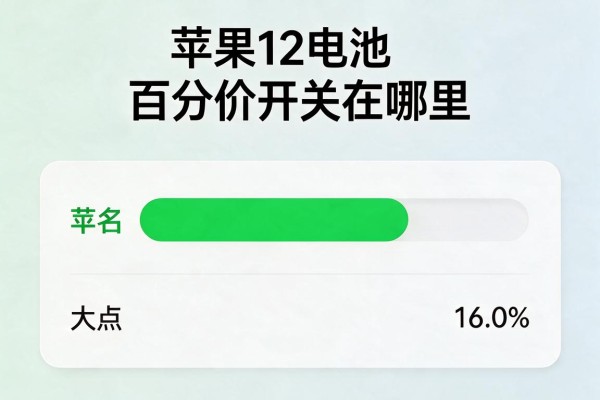 苹果12电池百分比开关在哪里