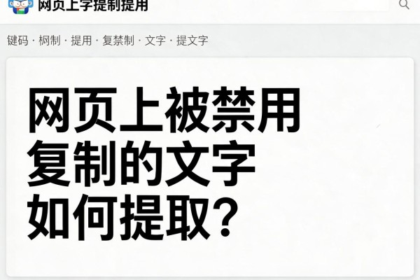 网页上被禁用复制的文字如何提取?