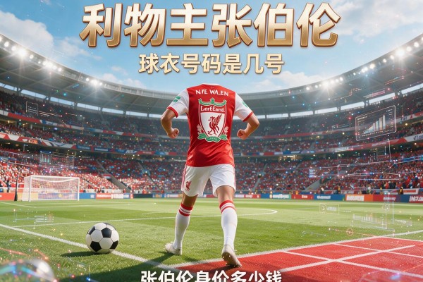 利物浦张伯伦球衣号码是几号 足球运动员张伯伦身价多少钱