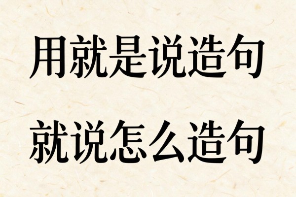 用就是说造句-就是说怎么造句