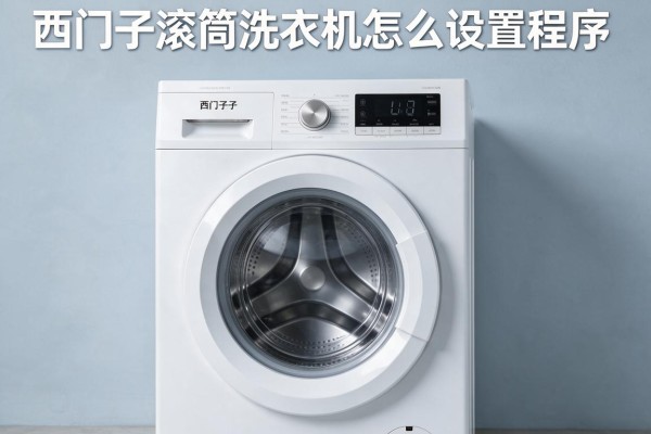 西门子滚筒洗衣机怎么设置程序?