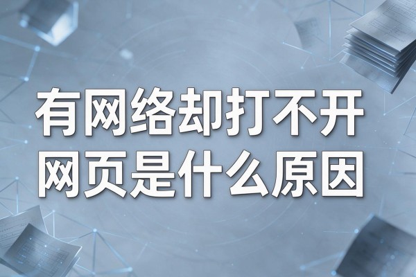 有网络却打不开网页是什么原因
