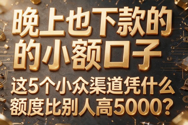 同样是"晚上也下款的小额口子"这5个小众渠道凭什么额度比别人高5000?