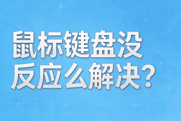 鼠标键盘没反应怎么解决?