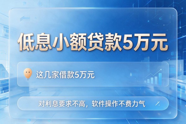 低息小额贷款5万元，这几家借款5万元对利息要求不高软件操作不费力气