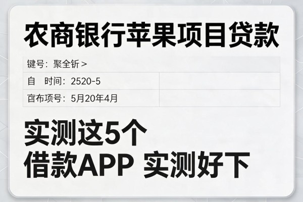 农商银行苹果项目贷款,实测这5个借款APP实测好下