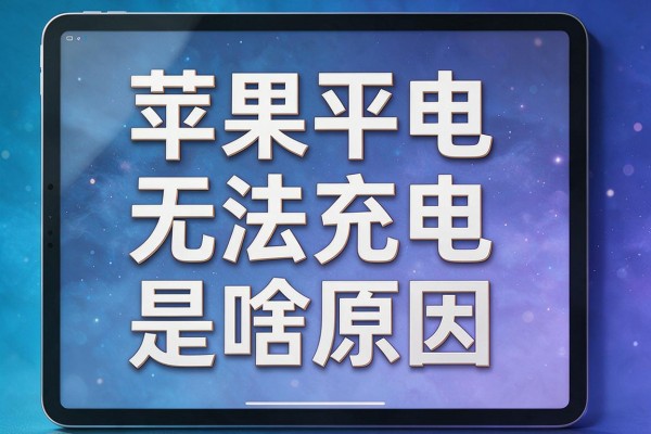 苹果平板无法充电是啥原因