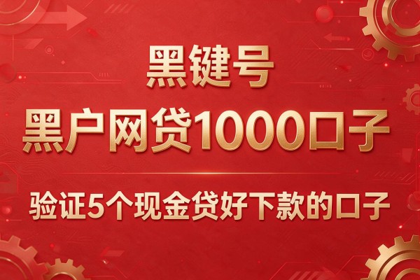 黑户网贷1000口子,验证5个现金贷好下款的口子