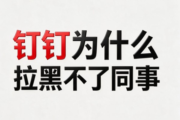 钉钉为什么拉黑不了同事