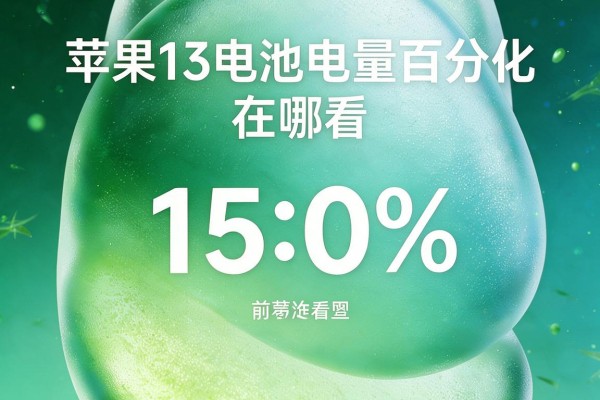 苹果13电池电量百分比在哪看