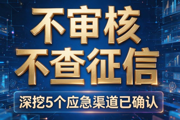 不审核不查征信，深挖5个应急渠道已确认