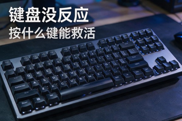 键盘没反应按什么键能救活