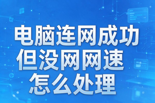 电脑连网成功但没网速怎么处理