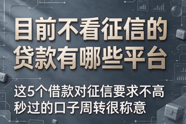 目前不看征信的贷款有哪些平台，这5个借款对征信要求不高秒过的口子周转很称意