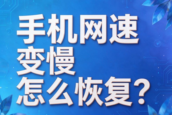 手机网速变慢怎么恢复?