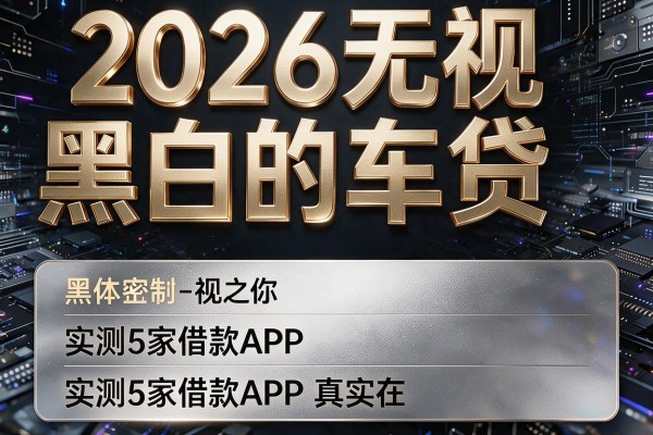 2026无视黑白的车贷，实测5家借款APP真实在