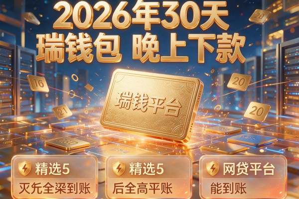 2026年30天瑞钱包晚上下款,精选5款网贷平台能到账