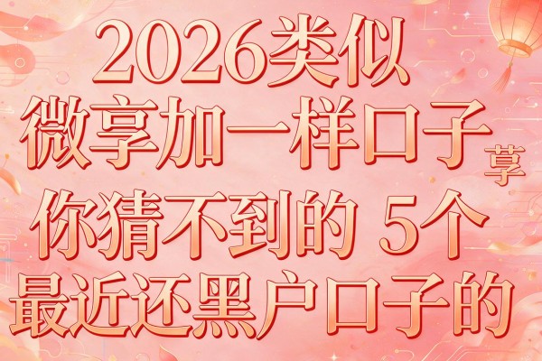 2026类似微享加一样口子，你猜不到的5个最近还下款的黑户口子