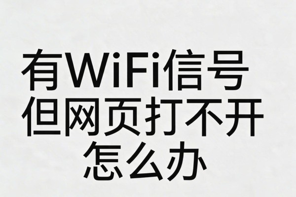 有WiFi信号但网页打不开怎么办