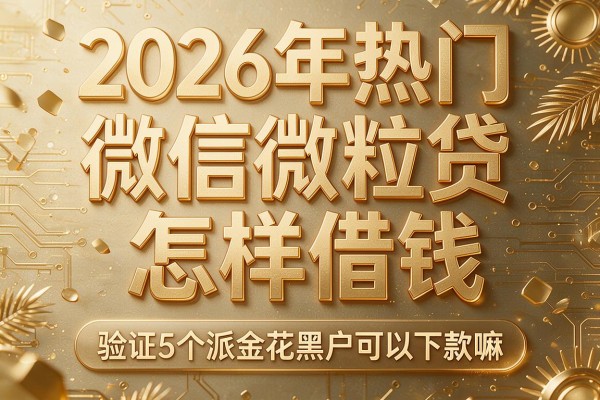 2026年热门微信微粒贷怎样借钱，验证5个派金花黑户可以下款嘛